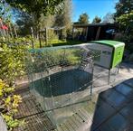 Omlet Eglu Cube kippenhok met 3m ren + automatische deur, Ophalen, Zo goed als nieuw, Kippenhok of Kippenren