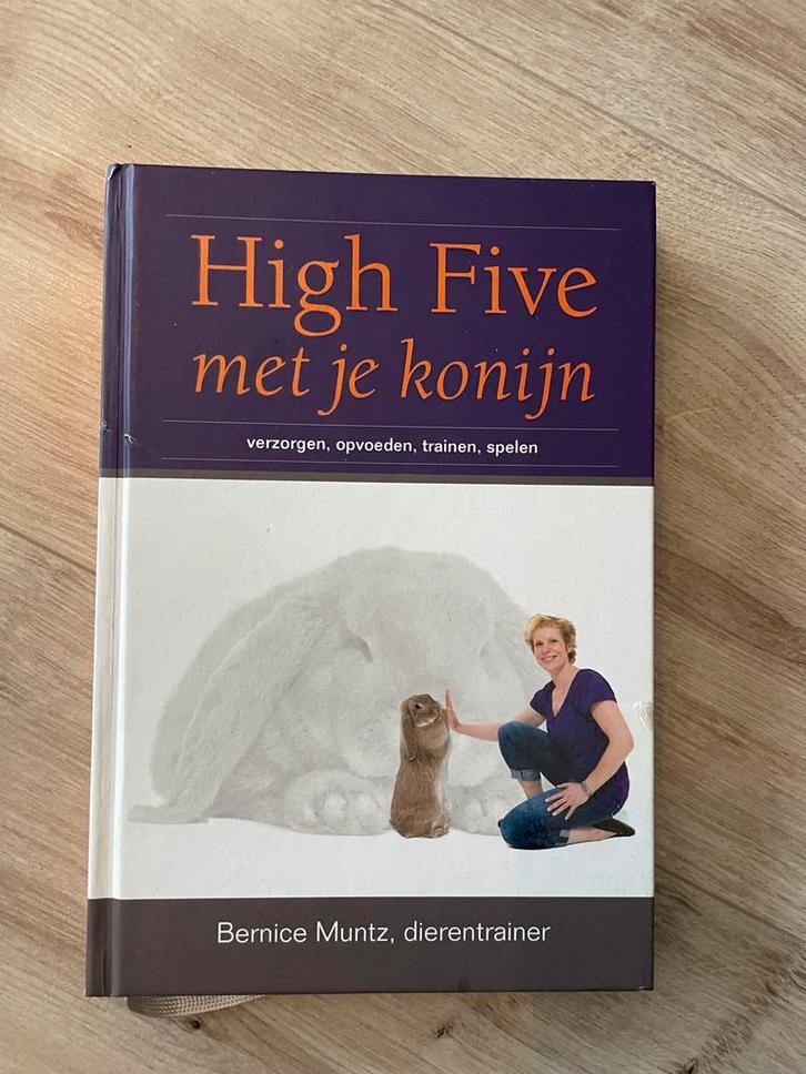 High Five met je konijn - Verzorging, opvoeding en training, Boeken, Dieren en Huisdieren, Nieuw, Konijnen of Knaagdieren, Ophalen of Verzenden