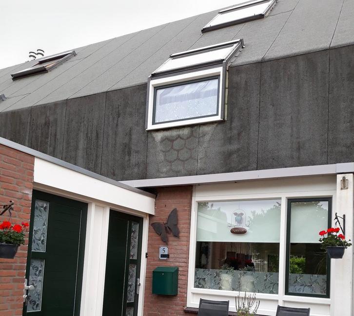 Kunstof Dakraam met Vliegenhor 130x78, Doe-het-zelf en Verbouw, Glas en Ramen, Ophalen