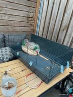 Cavia kooi, Dieren en Toebehoren, Knaagdieren en Konijnen | Hokken en Kooien, Kooi, Zo goed als nieuw, 75 tot 110 cm, Cavia