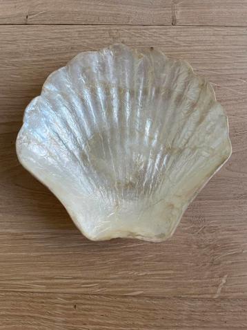 Sint Jacobs Schelp schaaltje uit Capiz schelp. beschikbaar voor biedingen