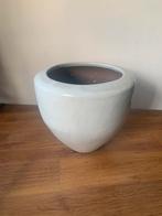 Mooie grote ronde plantenpot, wit / beige keramiek, Ophalen, 40 cm of meer, Rond, Binnen