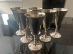 6 verzilverden champagne fluiten, Ophalen of Verzenden, Zo goed als nieuw, Glas, Overige stijlen