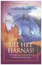 Uit het harnas! (Paulien Assink), Ophalen of Verzenden, Zo goed als nieuw, Management