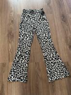 Guts & Gusto flair broek maat S, Kleding | Dames, Guts & Gusto, Zwart, Ophalen of Verzenden, Zo goed als nieuw