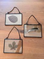 Industriële zwarte foto lijstjes. Echt glas 18x13.Set van 3, Ophalen of Verzenden, Zo goed als nieuw