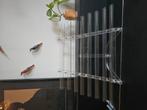 Kristal Harp - Sound Healing - Crystal Harp, Muziek en Instrumenten, Ophalen of Verzenden, Zo goed als nieuw