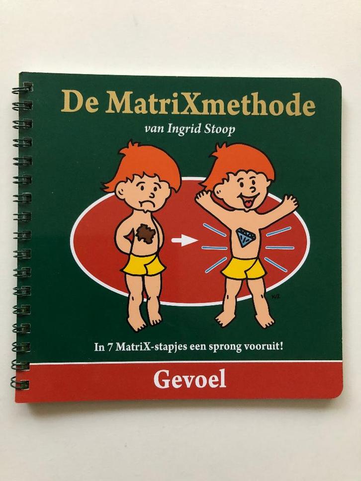 De Matrixmethode - GEVOEL, Boeken, Psychologie, Zo goed als nieuw, Ontwikkelingspsychologie, Verzenden