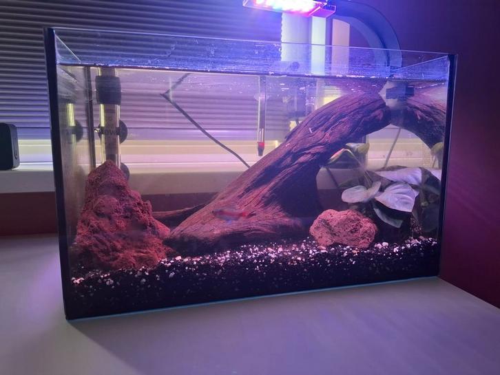 Aquarium met toebehoren, Dieren en Toebehoren, Vissen | Aquaria en Toebehoren, Zo goed als nieuw, Leeg aquarium, Ophalen