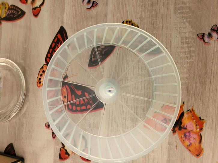 Nieuw loopwiel / rad voor een muis knaagdieren, Dieren en Toebehoren, Knaagdieren en Konijnen | Toebehoren, Zo goed als nieuw