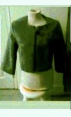 Grijs vest, Ophalen of Verzenden, Zo goed als nieuw, Maat 36 (S), Grijs