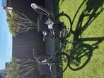 Pegasus damesfiets 160 tot 170 cm, Fietsen en Brommers, Fietsen | Dames | Moederfietsen, Versnellingen, Zo goed als nieuw, 50 tot 53 cm