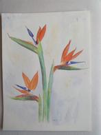 Aquarel Strelizia - Paradijsvogelbloem, Ophalen, Minder dan 50 cm, Oorspronkelijke maker, Nieuw