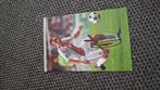 Foto met originele handtekening; Andre Ooijer # Ajax, Verzenden, Nieuw, Ajax