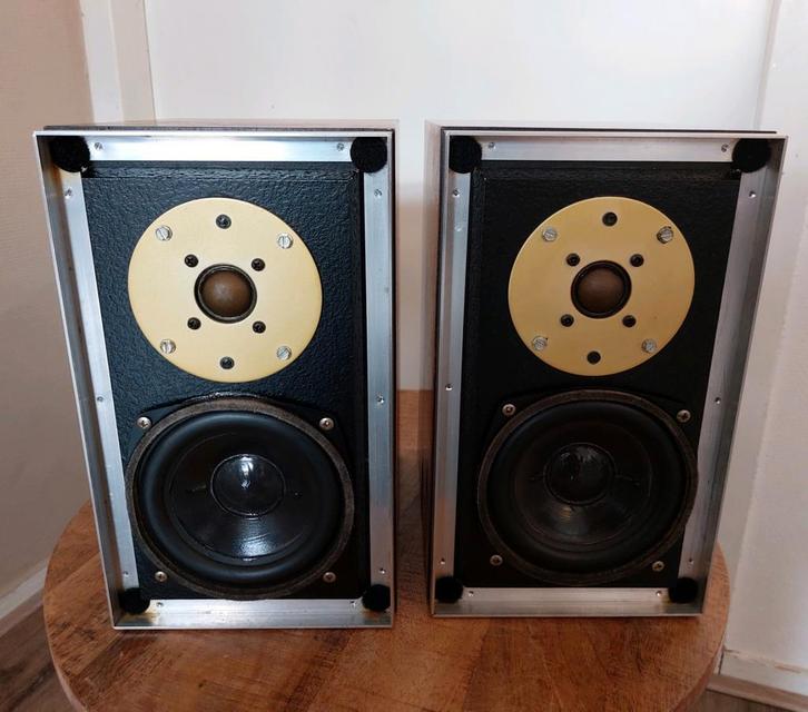 Hepta micro lux, Audio, Tv en Foto, Luidsprekers, Gebruikt, Front, Rear of Stereo speakers, 60 tot 120 watt, Overige merken, Ophalen