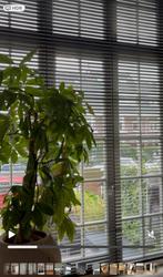 Elektrische Luxaflex Zwart - Grote Ramen, Huis en Inrichting, Ophalen of Verzenden, Zo goed als nieuw, Zwart, 200 cm of meer