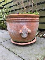 Mooie terracotta pot met Campanula erin!, Tuin en Terras, Bloempotten, Gebruikt, Tuin, Rond, Terracotta