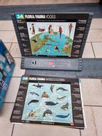 Computer kennis spel, Een of twee spelers, Ophalen of Verzenden, Gebruikt, Jumbo