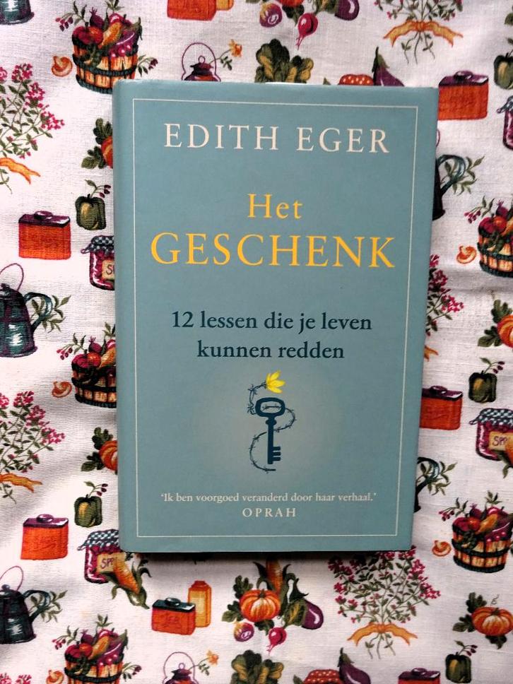 Het geschenk * 12 lessen die je leven kunnen redden, Boeken, Psychologie, Zo goed als nieuw, Verzenden