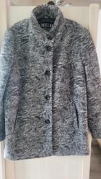 Jas maat 48, Kleding | Dames, Jassen | Winter, Ophalen of Verzenden, Zo goed als nieuw, Maat 46/48 (XL) of groter