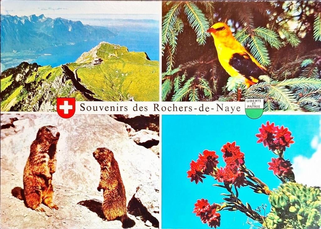 Montreux Zwitserland 1978, Ophalen of Verzenden, 1960 tot 1980, Gelopen, Overig Europa