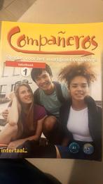 Ignacio Rodero - 1 textboek, Ophalen, Ignacio Rodero; Francisca Castro, Zo goed als nieuw, Nederlands
