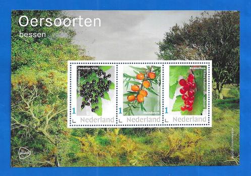 NVPH: V3642P Oersoorten, Bessen - 2021 No. 2, Postzegels en Munten, Postzegels | Nederland, Postfris, Na 1940, Verzenden