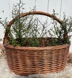 Rieten mand rotanmand, Ophalen