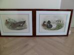 2 prachtige wandplaten met eend afbeeldingen, Ophalen of Verzenden