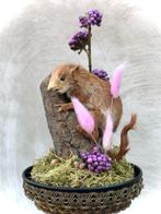 Schattig opgezet baby eekhoorntje in stolp, taxidermy, Ophalen of Verzenden, Opgezet dier