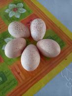 Broed eieren Mergellandhoen, Kip, Geslacht onbekend