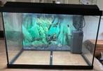 Aquarium 60 cm, Ophalen of Verzenden, Zo goed als nieuw, Leeg aquarium
