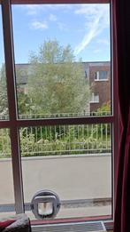 Glasplaat / raam met gat voor een kattenluikje. BxH=940x1045, Ophalen, 80 tot 120 cm, 80 tot 120 cm, Zo goed als nieuw