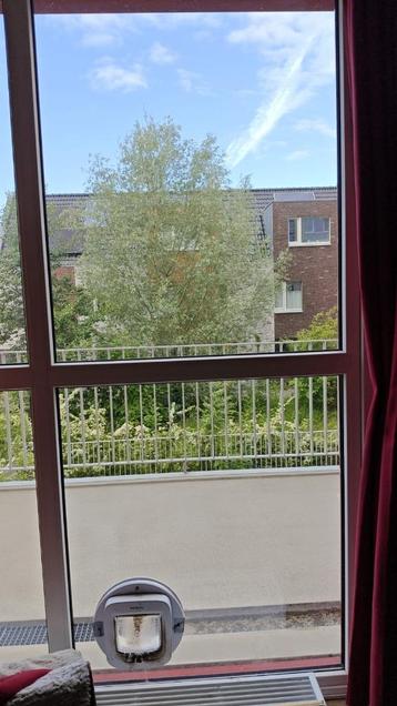 Glasplaat / raam met gat voor een kattenluikje. BxH=940x1045 beschikbaar voor biedingen