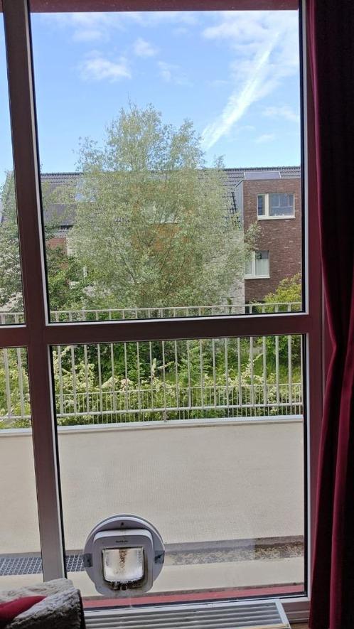 Glasplaat / raam met gat voor een kattenluikje. BxH=940x1045, Doe-het-zelf en Verbouw, Glas en Ramen, Zo goed als nieuw, Glasplaat