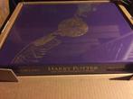 Harry Potter Philosopher's Stone deluxe illustrated boek NEW, Nieuw, Ophalen of Verzenden, Boek of Poster