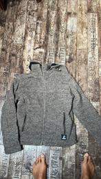 100%wollen vest, Kleding | Dames, Truien en Vesten, Ophalen of Verzenden, Zo goed als nieuw