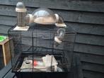 Hamsterkooi, Dieren en Toebehoren, Ophalen, Minder dan 75 cm, Kooi, Minder dan 60 cm