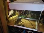 Kleine aquarium tekoop met extra spullen, Dieren en Toebehoren, Vissen | Aquaria en Toebehoren, Ophalen, Zo goed als nieuw, Leeg aquarium