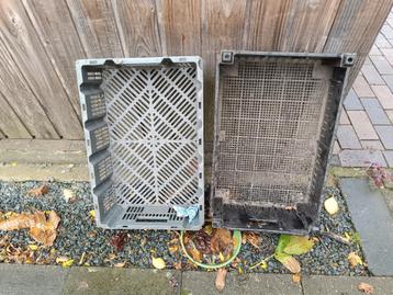 Kratjes voor bloembollen beschikbaar voor biedingen