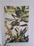 GRATIS - Grote canvas groene planten IKEA, Ophalen, Zo goed als nieuw