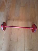 Vaste Halter 25kg, Sport en Fitness, Fitnessmaterialen, Ophalen, Gebruikt, Rug, Halterset