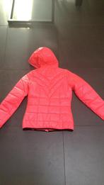 Roze gewatteerde jas - Maat 176, Vingino, Nieuw, Ophalen of Verzenden, Roze