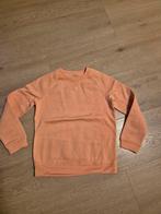 Sweater maat 146, Ophalen of Verzenden, Zo goed als nieuw, Jongen, Trui of Vest