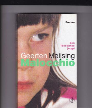 Meijsing, Geerten - Malocchio ( Een Toscaanse jeugd ) beschikbaar voor biedingen