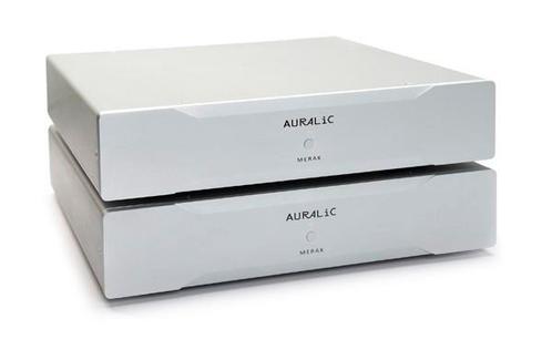 Auralic Merak monoblokken eindversterker, Audio, Tv en Foto, Versterkers en Receivers, Gebruikt, Stereo, Overige merken, Ophalen