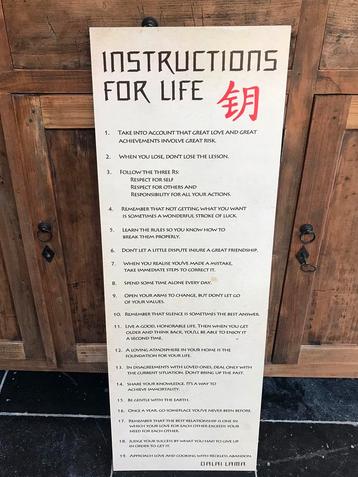 Instructions for Life - Dalai Lama beschikbaar voor biedingen
