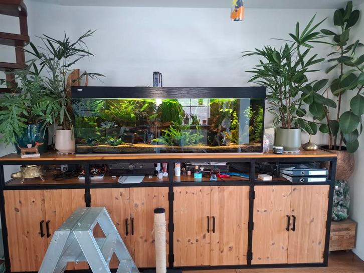 Aquarium compleet, Dieren en Toebehoren, Vissen | Aquaria en Toebehoren, Gebruikt, Gevuld zoetwateraquarium, Ophalen