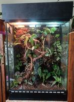 Paludarium, Dieren en Toebehoren, Reptielen en Amfibieën | Toebehoren, Ophalen, Zo goed als nieuw, Terrarium of Paludarium
