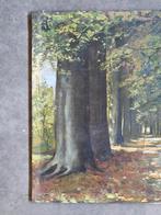 Antiek schilderij olieverf paneel bosgezicht B. Van Reenen, Ophalen of Verzenden